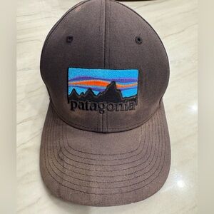 Patagonia Faded Brown Cap with Colorful Logo